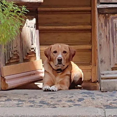Πανσιόν Epicerie Vieille Du Puy En Velay
