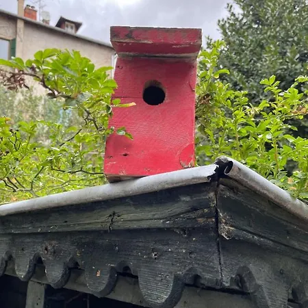 Epicerie Vieille Du Puy En Velay Le Puy-en-Velay